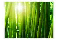 Artgeist Zon en Bamboe Vlies Fotobehang 200x154cm