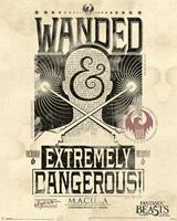 Pyramid Fantastic Beasts Extremely Dangerous Poster 40x50cm