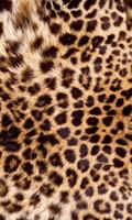 Dimex Leopard Skin Vlies Fotobehang 150x250cm 2-banen