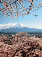 Wizard+Genius Mount Fuji in Japan Vlies Fotobehang 192x260cm 4-banen