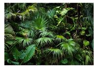 Artgeist Sunny Jungle Vlies Fotobehang 100x70cm