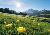 Komar Alpenglück Vlies Fototapete 400x280cm 8-Bahnen