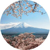 Wizard+Genius Mount Fuji in Japan Vlies Fotobehang 140x140cm rond