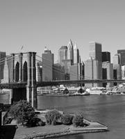 Dimex Manhattan Gray Vlies Fotobehang 225x250cm 3-banen