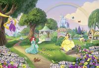 Komar Disney Princess Rainbow Fotobehang 368x254cm