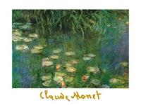 PGM Claude Monet - Ninfee dell'Orangerie Kunstdruk 80x60cm