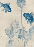 Wizard+Genius Blue Fish Vlies Fotobehang 192x260cm 4-banen
