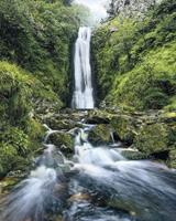 Komar Glenevin Falls Vlies Fototapete 200x250cm 2-Bahnen