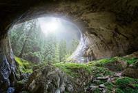 Wizard+Genius Cave In The Forest Vlies Fotobehang 384x260cm 8-banen