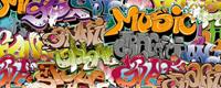 Dimex Graffiti Art Vlies Fototapete 375x150cm 5-Bahnen