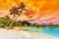 Dimex Polynesia Vlies Fotobehang 375x250cm 5-banen
