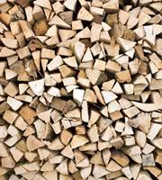 Dimex Timber Logs Vlies Fotobehang 225x250cm 3-banen