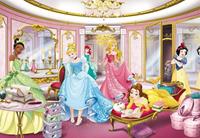 Komar Disney Princess Mirror Fotobehang 368x254cm 8-delig