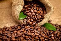 Dimex Coffee Beans Vlies Fotobehang 375x250cm 5-banen