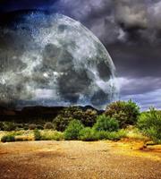 Dimex Moon Vlies Fotobehang 225x250cm 3-banen