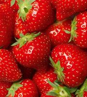 Dimex Strawberry Vlies Fotobehang 225x250cm 3-banen