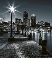 Dimex Boston Vlies Fotobehang 225x250cm 3-banen
