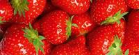 Dimex Strawberry Vlies Fotobehang 375x150cm 5-banen