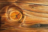 Dimex Wood Knot Vlies Fotobehang 375x250cm 5-banen