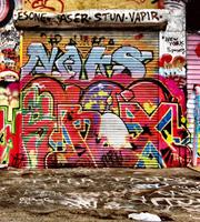 Dimex Graffiti Street Vlies Fotobehang 225x250cm 3-banen