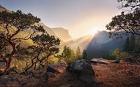 Komar Yosemites Secret Vlies Fotobehang 450x280cm 9-banen