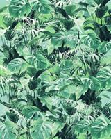 Komar Evergreen Vlies Fotobehang 200x250cm 2-banen