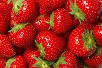 Dimex Strawberry Vlies Fototapete 375x250cm 5-Bahnen