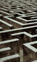 Dimex Labyrinth Vlies Fotobehang 150x250cm 2-banen