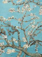 Wizard+Genius van Gogh Almond Blossom Vlies Fotobehang 192x260cm 4-banen