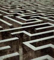 Dimex Labyrinth Vlies Fotobehang 225x250cm 3-banen