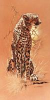PGM Renato Casaro - Cheetah Kunstdruk 50x100cm
