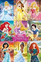 Expo XL Disney Prinsessen Collage - Maxi Poster (C-736)
