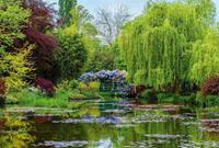 Wizard+Genius Monets Garden in France Vlies Fotobehang 384x260cm 8-banen