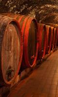 Dimex Wine Barrels Vlies Fotobehang 150x250cm 2-banen