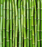Dimex Bamboo Vlies Fotobehang 225x250cm 3-banen