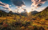 Komar Norwegische Herbstwelten Vlies Fotobehang 450x280cm 9-banen