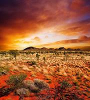 Dimex Australian Landscape Vlies Fotobehang 225x250cm 3-banen