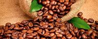 Dimex Coffee Beans Vlies Fotobehang 375x150cm 5-banen