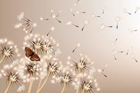 Dimex Dandelions and Butterfly Vlies Fotobehang 375x250cm 5-banen