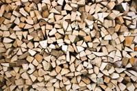 Dimex Timber Logs Vlies Fotobehang 375x250cm 5-banen