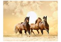 Artgeist Running Paarden Vlies Fotobehang 400x309cm