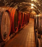 Dimex Wine Barrels Vlies Fotobehang 225x250cm 3-banen