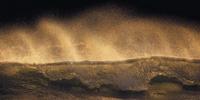 Komar Golden Wave Vlies Fotobehang 200x100cm 1-baan