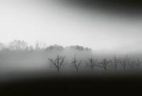 Wizard+Genius Foggy Landscape Vlies Fotobehang 384x260cm 8-banen