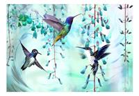 Artgeist Flying Hummingbirds Green Vlies Fototapete 350x245cm