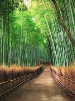 Wizard+Genius Bamboo Grove Kyoto Vlies Fotobehang 192x260cm 4-banen