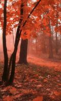 Dimex Misty Forest Vlies Fotobehang 150x250cm 2-banen