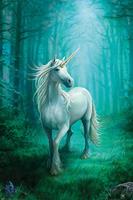 Hole In The Wall Anne Stokes Forest Unicorn - Maxi Poster (709F)