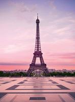 Wizard+Genius Eiffel Tower At Sunset Vlies Fotobehang 192x260cm 4-banen