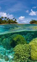 Dimex Coral Reef Vlies Fotobehang 150x250cm 2-banen